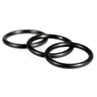 Rubber O Ring Supplier From Gujarat